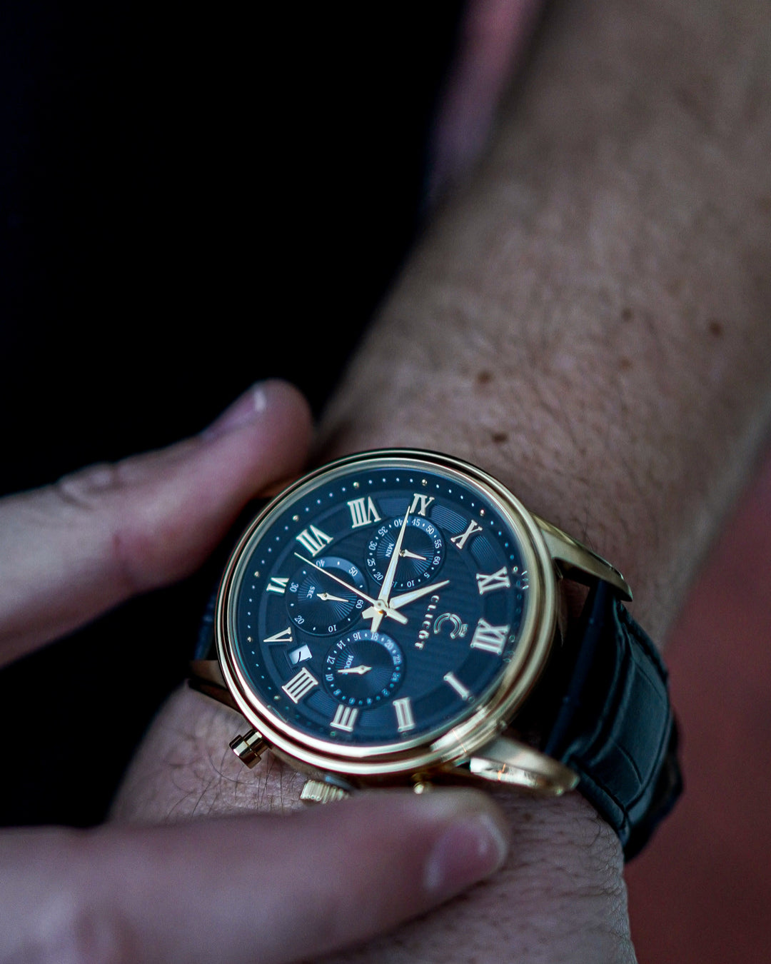 Helious Watch Automatic luxury black and gold watch – Clicöt