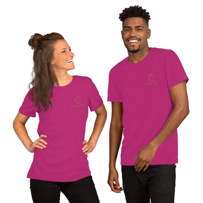 Unisex t-shirt (embroidery)